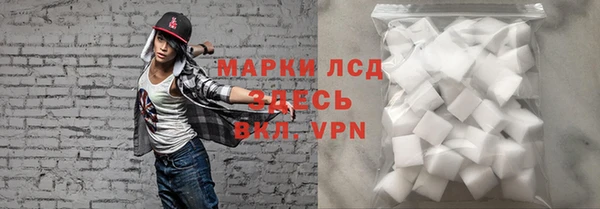 индика Арсеньев