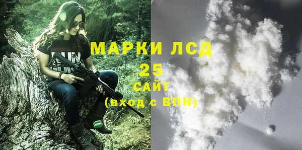 прущие грибы Армянск