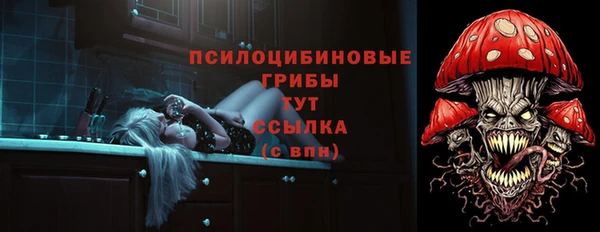 индика Арсеньев