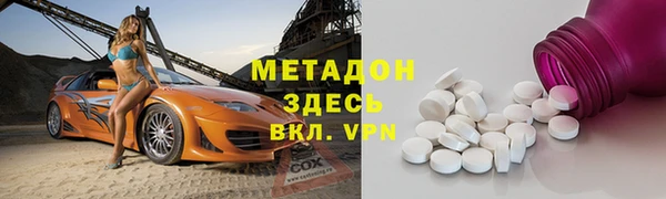 индика Арсеньев