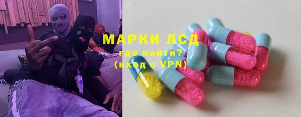индика Арсеньев