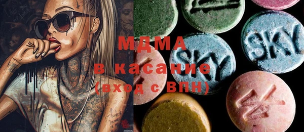 индика Арсеньев