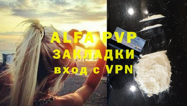 индика Арсеньев