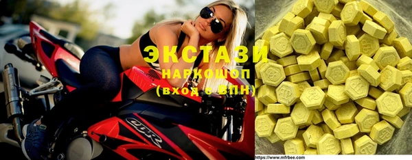индика Арсеньев