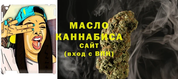 индика Арсеньев
