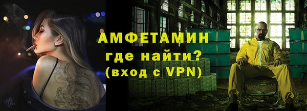 индика Арсеньев