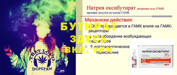 индика Арсеньев