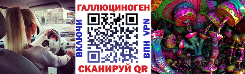 Псилоцибиновые грибы мицелий  закладка  Старая Русса 